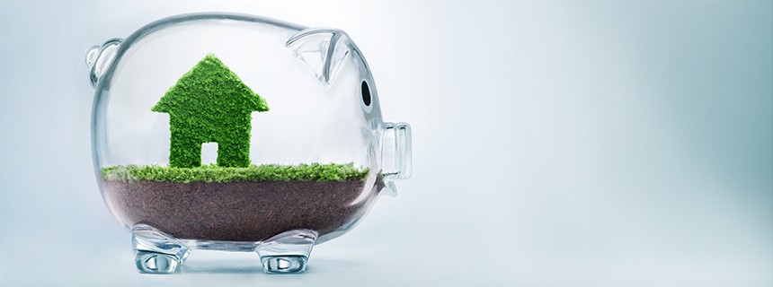 piggy bank grass house